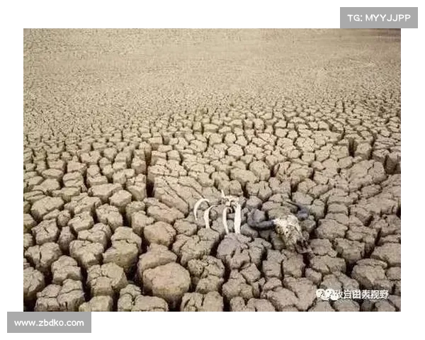 生活中那些看似微小却可能酿成致命后果的错误值得我们深思 生活中那些看似微小却可能酿成致命后果的错误值得我们深思