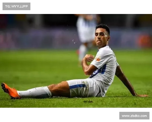 扎哈维是否已经正式退役及其背后影响因素的深度解析与未来发展探讨